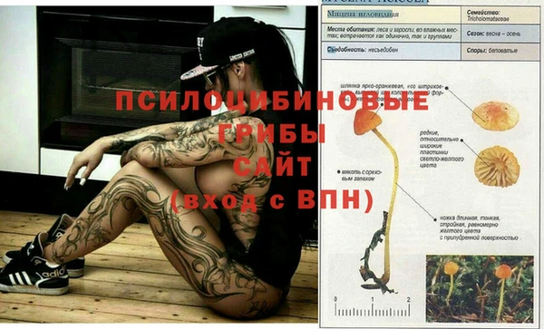 герыч Аркадак