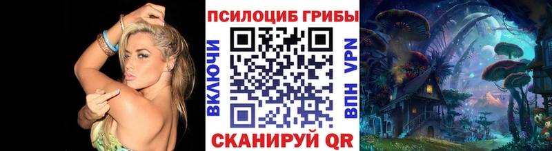Галлюциногенные грибы мухоморы  Купить  Верея 